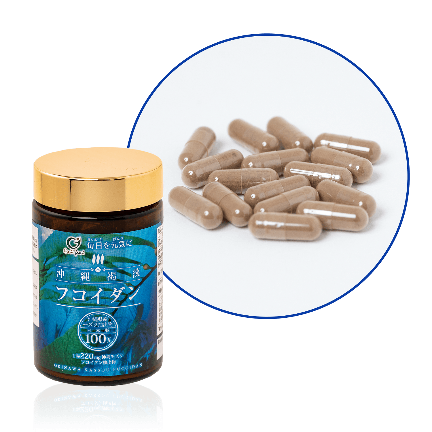 沖縄褐藻フコイダン